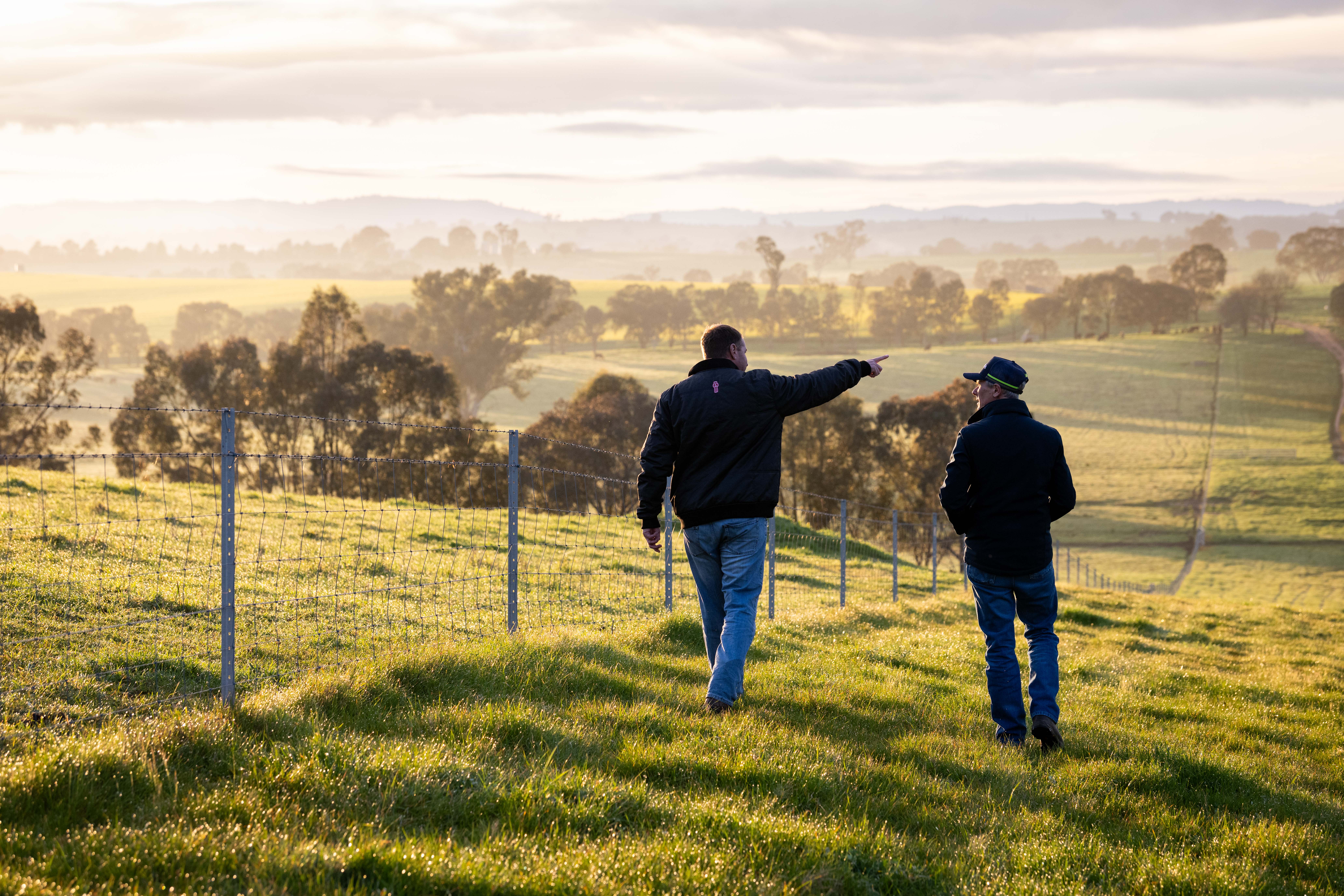 Consultant and client in paddock