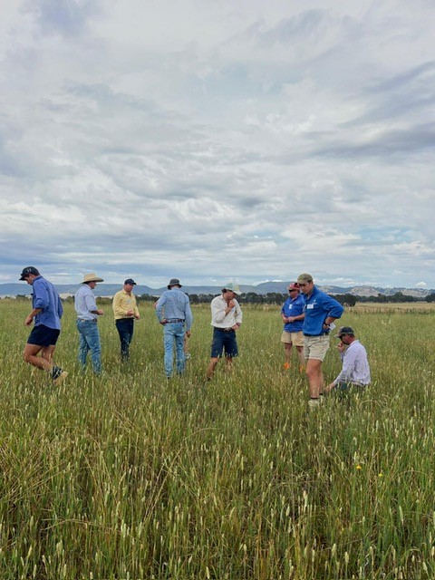 Group Benchmarking