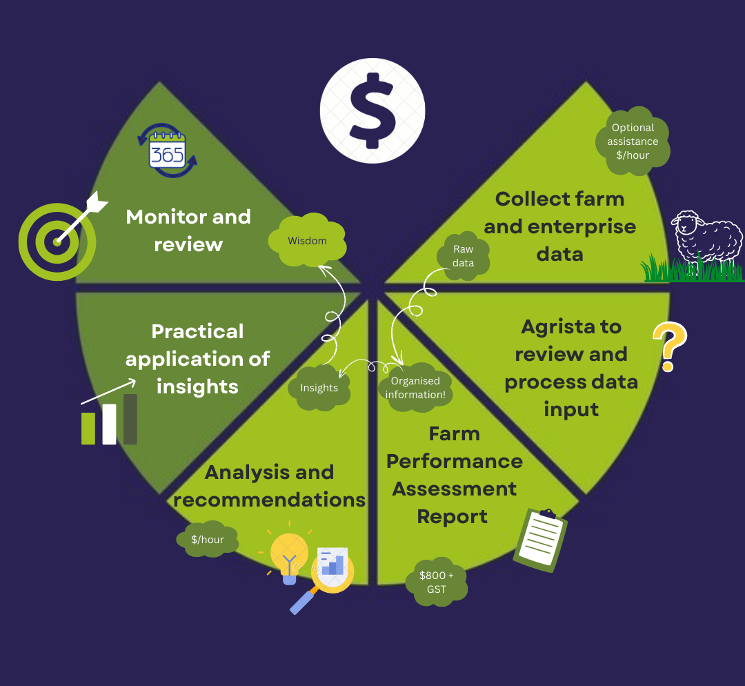 Optimise Farm Performance with Benchmarking Insights
