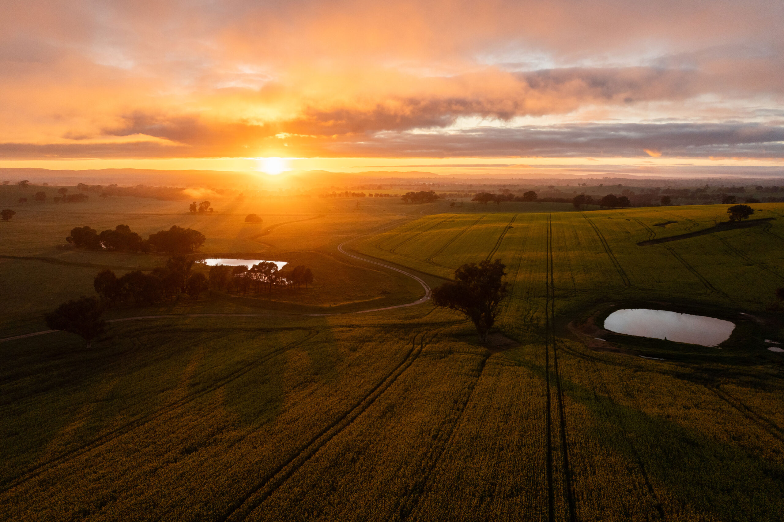 Farm Expansion and rural land expansion